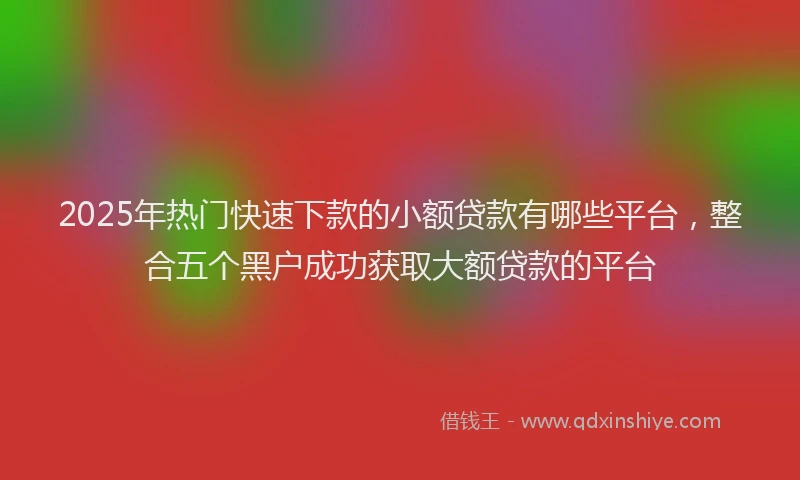 2025年热门快速下款的小额贷款有哪些平台，整合五个黑户成功获取大额贷款的平台