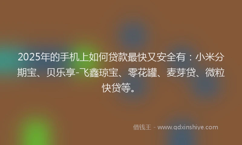 2025年的手机上如何贷款最快又安全有：小米分期宝、贝乐享-飞鑫琼宝、零花罐、麦芽贷、微粒快贷等。