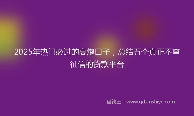 2025年热门必过的高炮口子，总结五个真正不查征信的贷款平台
