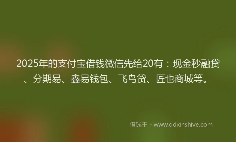 2025年的支付宝借钱微信先给20有：现金秒融贷、分期易、鑫易钱包、飞鸟贷、匠也商城等。