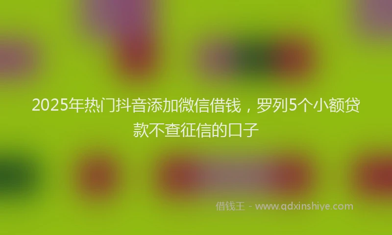 2025年热门抖音添加微信借钱，罗列5个小额贷款不查征信的口子