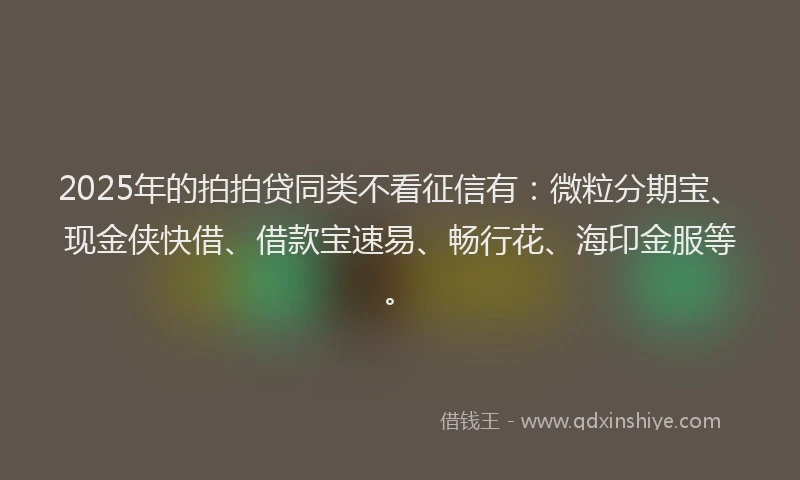2025年的拍拍贷同类不看征信有：微粒分期宝、现金侠快借、借款宝速易、畅行花、海印金服等。