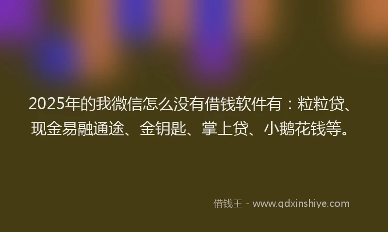 2025年的我微信怎么没有借钱软件有：粒粒贷、现金易融通途、金钥匙、掌上贷、小鹅花钱等。