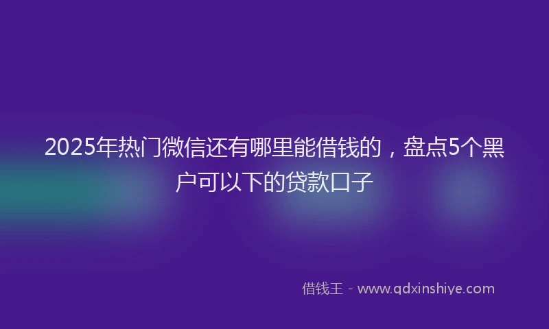 2025年热门微信还有哪里能借钱的，盘点5个黑户可以下的贷款口子