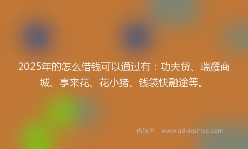 2025年的怎么借钱可以通过有：功夫贷、瑞耀商城、享来花、花小猪、钱袋快融途等。