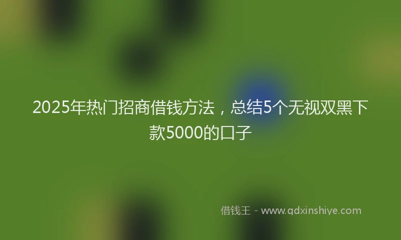 2025年热门招商借钱方法，总结5个无视双黑下款5000的口子