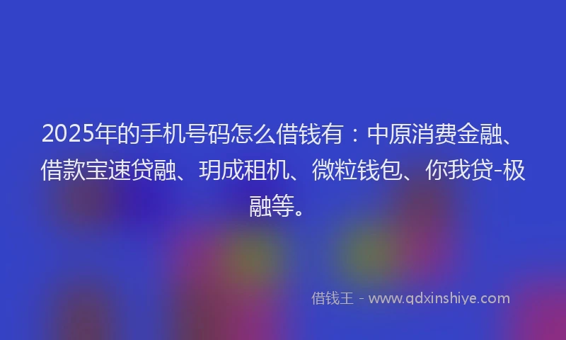 2025年的手机号码怎么借钱有：中原消费金融、借款宝速贷融、玥成租机、微粒钱包、你我贷-极融等。