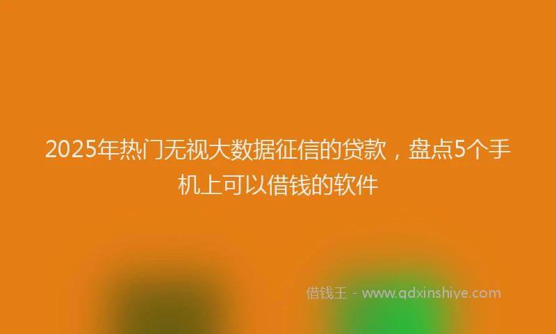 2025年热门无视大数据征信的贷款，盘点5个手机上可以借钱的软件