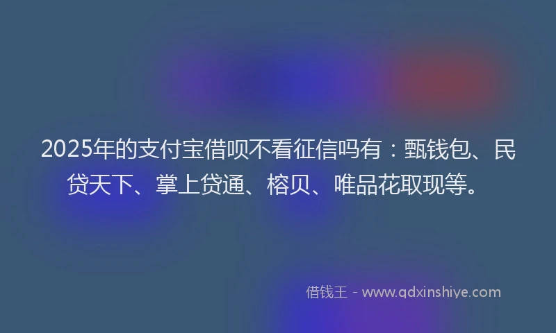 2025年的支付宝借呗不看征信吗有：甄钱包、民贷天下、掌上贷通、榕贝、唯品花取现等。
