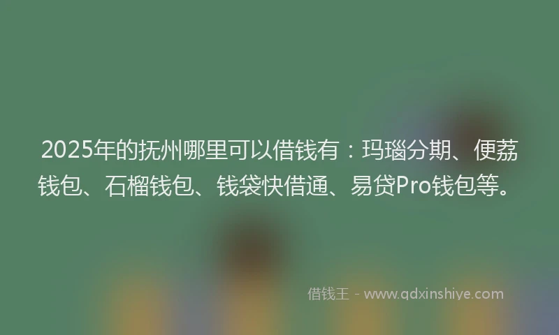 2025年的抚州哪里可以借钱有：玛瑙分期、便荔钱包、石榴钱包、钱袋快借通、易贷Pro钱包等。