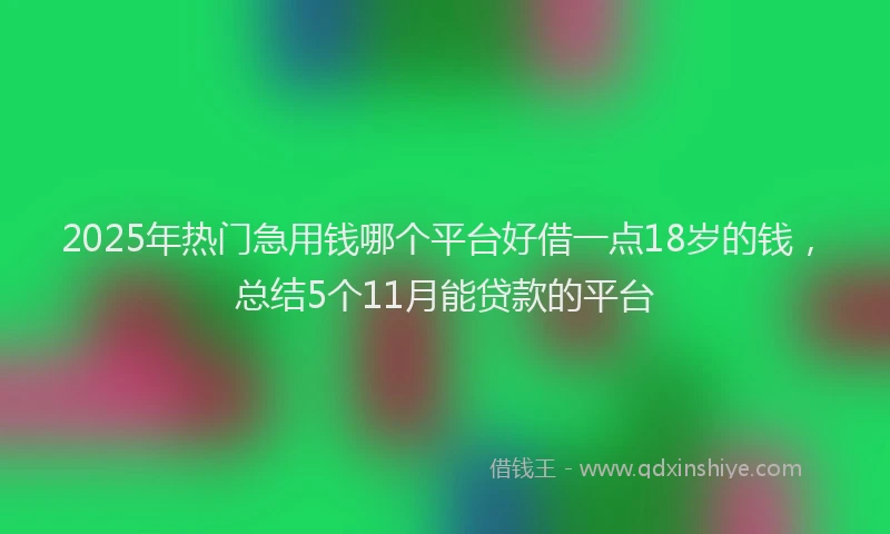 2025年热门急用钱哪个平台好借一点18岁的钱，总结5个11月能贷款的平台