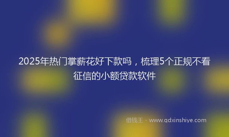 2025年热门掌薪花好下款吗，梳理5个正规不看征信的小额贷款软件