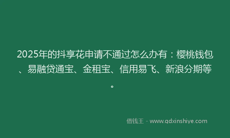 2025年的抖享花申请不通过怎么办有：樱桃钱包、易融贷通宝、金租宝、信用易飞、新浪分期等。