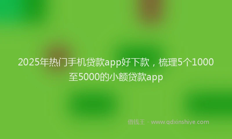 2025年热门手机贷款app好下款，梳理5个1000至5000的小额贷款app