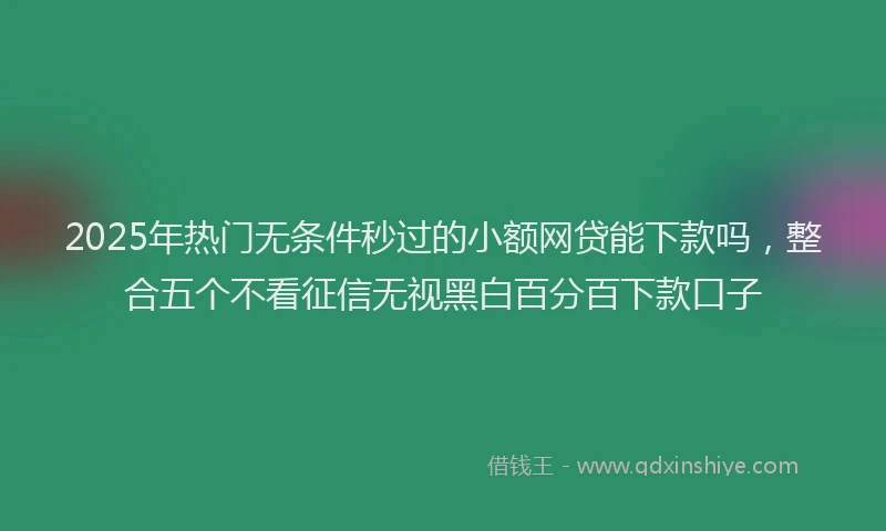 2025年热门无条件秒过的小额网贷能下款吗，整合五个不看征信无视黑白百分百下款口子