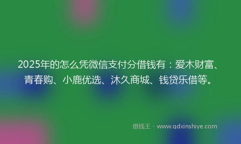2025年的怎么凭微信支付分借钱有：爱木财富、青春购、小鹿优选、沐久商城、钱贷乐借等。