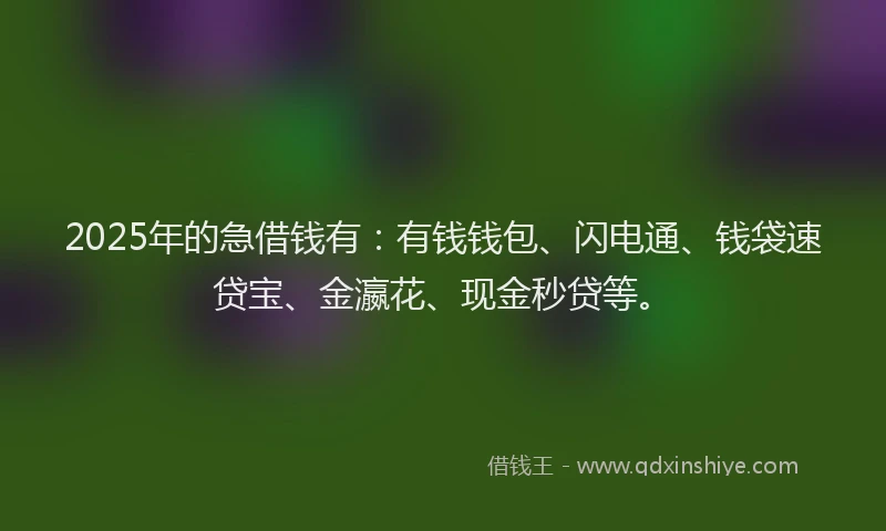 2025年的急借钱有：有钱钱包、闪电通、钱袋速贷宝、金瀛花、现金秒贷等。