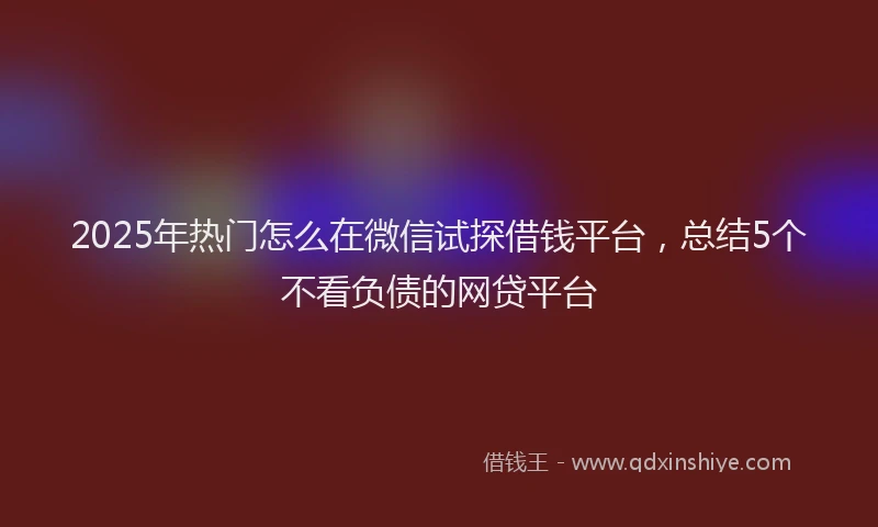 2025年热门怎么在微信试探借钱平台，总结5个不看负债的网贷平台