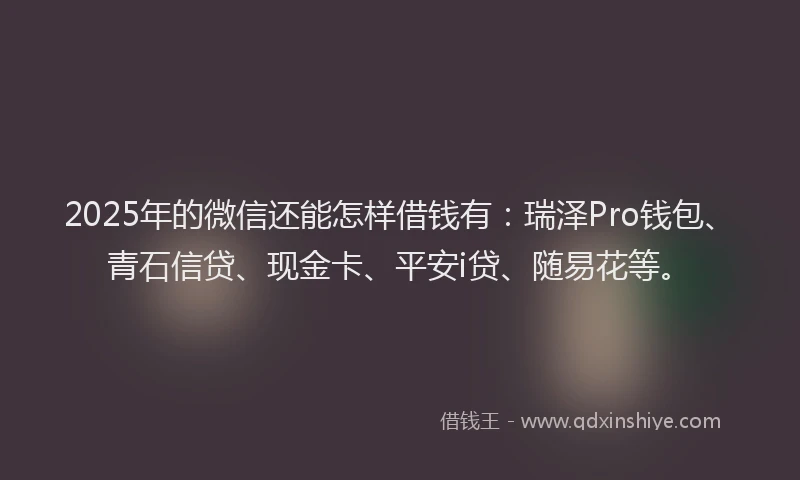 2025年的微信还能怎样借钱有：瑞泽Pro钱包、青石信贷、现金卡、平安i贷、随易花等。