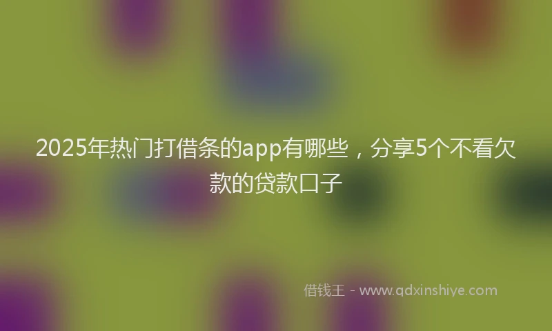 2025年热门打借条的app有哪些，分享5个不看欠款的贷款口子
