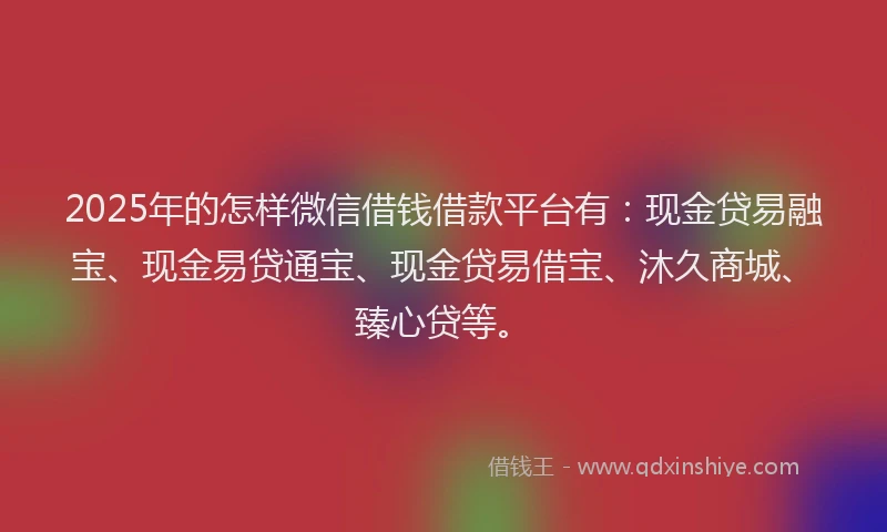 2025年的怎样微信借钱借款平台有：现金贷易融宝、现金易贷通宝、现金贷易借宝、沐久商城、臻心贷等。