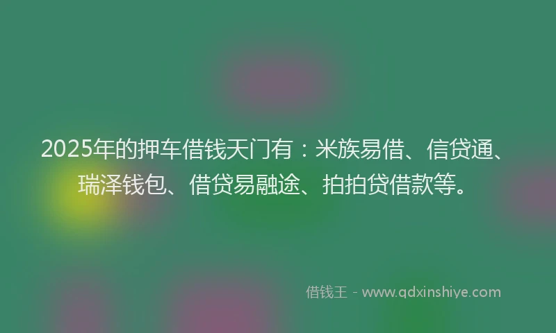 2025年的押车借钱天门有：米族易借、信贷通、瑞泽钱包、借贷易融途、拍拍贷借款等。