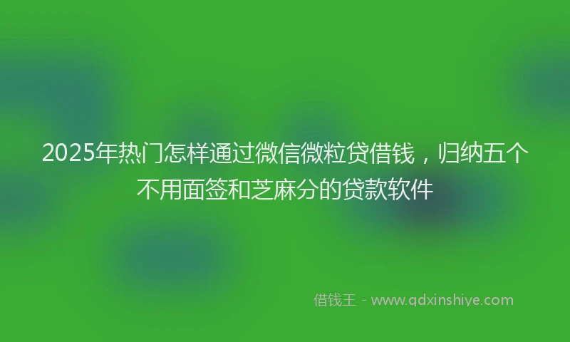 2025年热门怎样通过微信微粒贷借钱，归纳五个不用面签和芝麻分的贷款软件