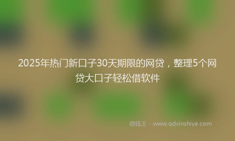 2025年热门新口子30天期限的网贷，整理5个网贷大口子轻松借软件