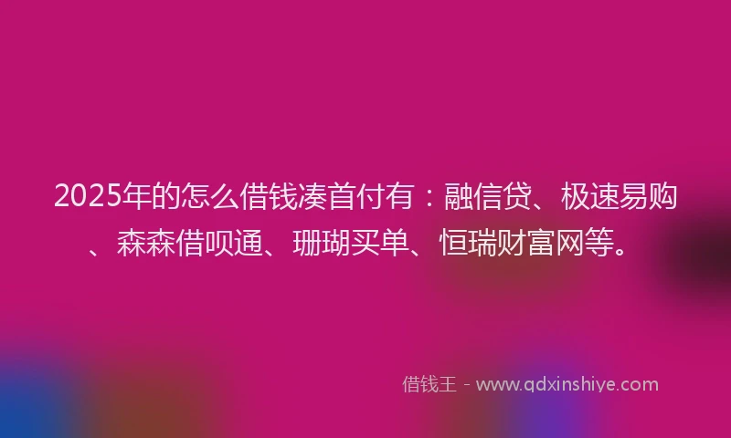 2025年的怎么借钱凑首付有：融信贷、极速易购、森森借呗通、珊瑚买单、恒瑞财富网等。