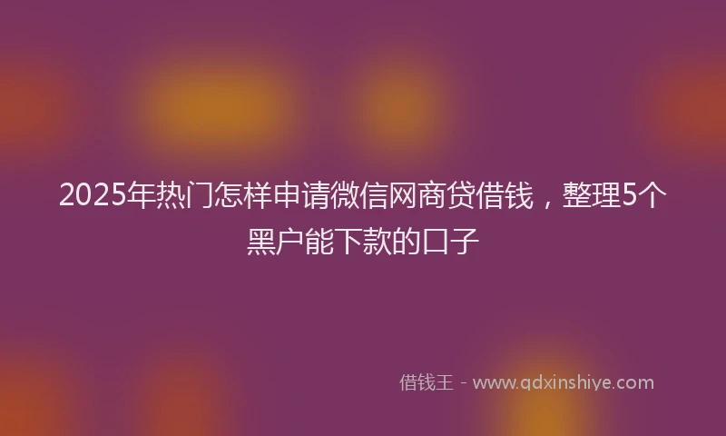 2025年热门怎样申请微信网商贷借钱，整理5个黑户能下款的口子