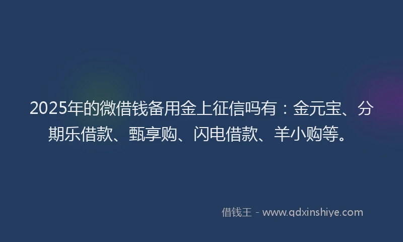 2025年的微借钱备用金上征信吗有：金元宝、分期乐借款、甄享购、闪电借款、羊小购等。