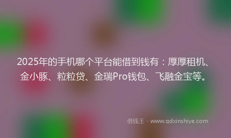 2025年的手机哪个平台能借到钱有：厚厚租机、金小豚、粒粒贷、金瑞Pro钱包、飞融金宝等。