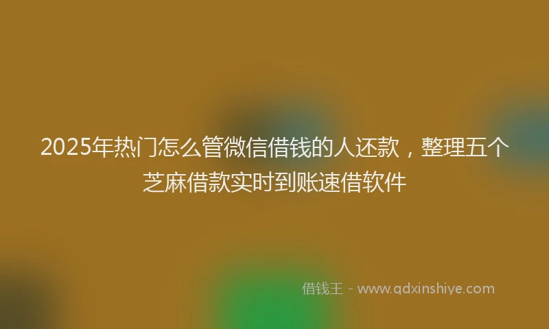 2025年热门怎么管微信借钱的人还款，整理五个芝麻借款实时到账速借软件