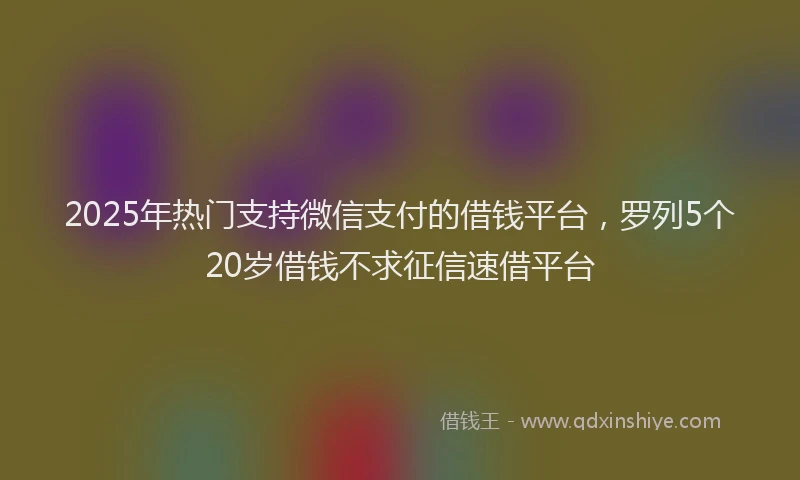 2025年热门支持微信支付的借钱平台，罗列5个20岁借钱不求征信速借平台