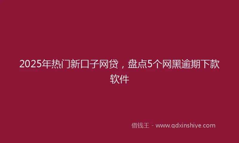 2025年热门新口子网贷，盘点5个网黑逾期下款软件