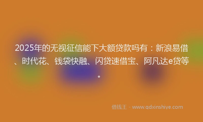 2025年的无视征信能下大额贷款吗有：新浪易借、时代花、钱袋快融、闪贷速借宝、阿凡达e贷等。
