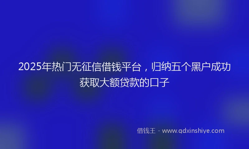 2025年热门无征信借钱平台，归纳五个黑户成功获取大额贷款的口子