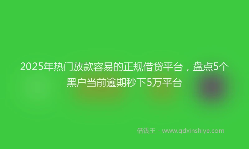 2025年热门放款容易的正规借贷平台，盘点5个黑户当前逾期秒下5万平台