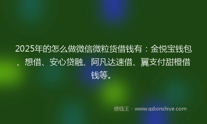 2025年的怎么做微信微粒货借钱有：金悦宝钱包、想借、安心贷融、阿凡达速借、翼支付甜橙借钱等。