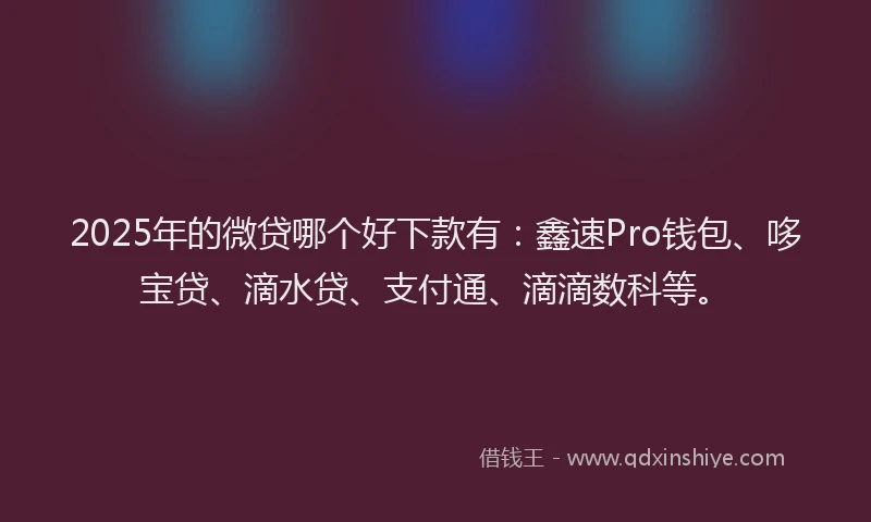 2025年的微贷哪个好下款有：鑫速Pro钱包、哆宝贷、滴水贷、支付通、滴滴数科等。