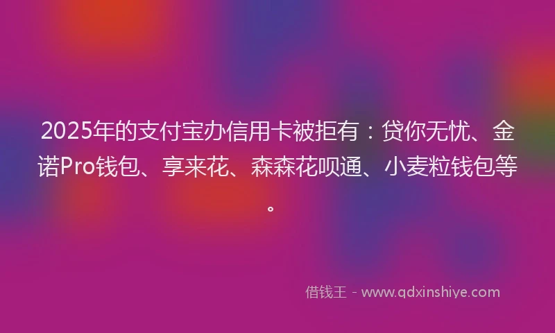 2025年的支付宝办信用卡被拒有：贷你无忧、金诺Pro钱包、享来花、森森花呗通、小麦粒钱包等。