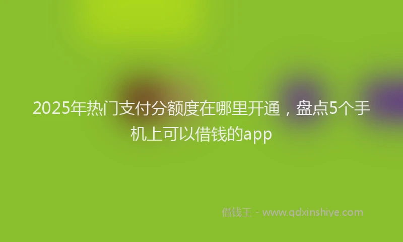 2025年热门支付分额度在哪里开通，盘点5个手机上可以借钱的app