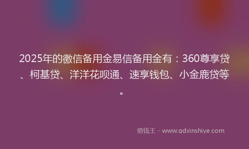 2025年的徼信备用金易信备用金有：360尊享贷、柯基贷、洋洋花呗通、速享钱包、小金鹿贷等。