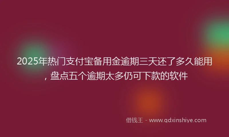 2025年热门支付宝备用金逾期三天还了多久能用，盘点五个逾期太多仍可下款的软件