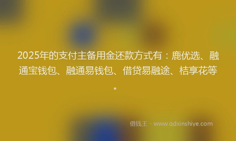 2025年的支付主备用金还款方式有：鹿优选、融通宝钱包、融通易钱包、借贷易融途、桔享花等。