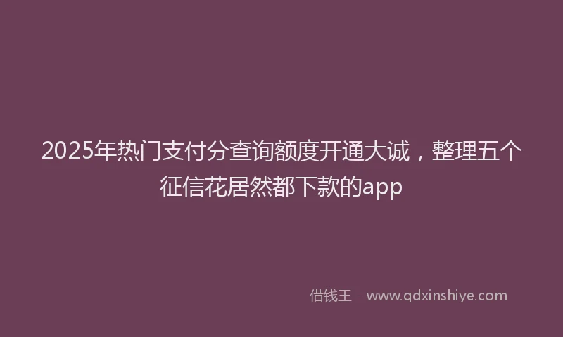 2025年热门支付分查询额度开通大诚，整理五个征信花居然都下款的app
