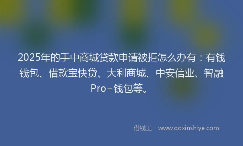 2025年的手中商城贷款申请被拒怎么办有：有钱钱包、借款宝快贷、大利商城、中安信业、智融Pro+钱包等。