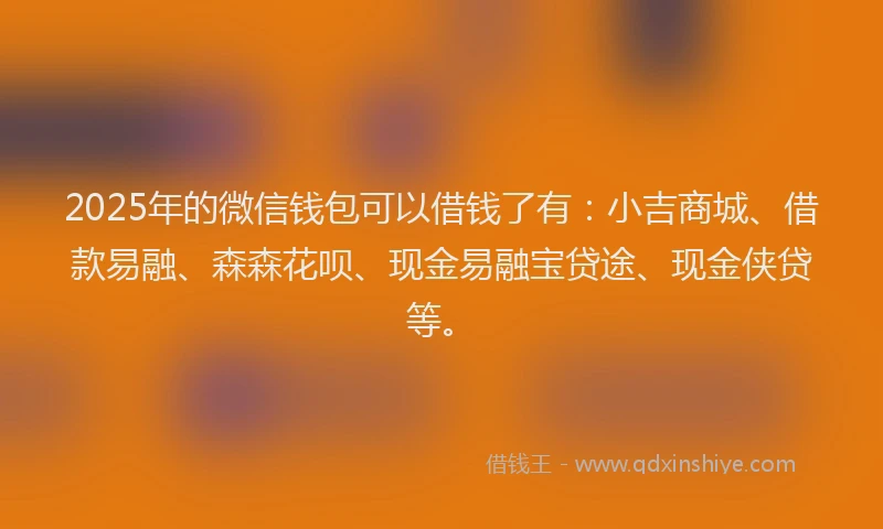 2025年的微信钱包可以借钱了有：小吉商城、借款易融、森森花呗、现金易融宝贷途、现金侠贷等。