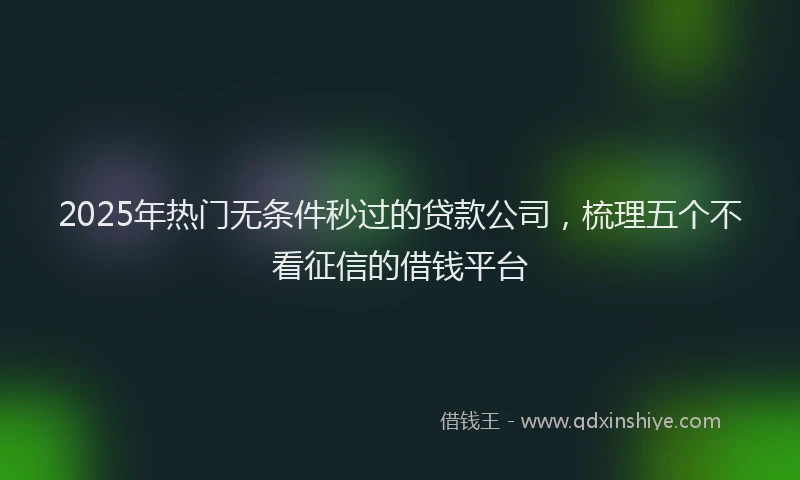 2025年热门无条件秒过的贷款公司，梳理五个不看征信的借钱平台