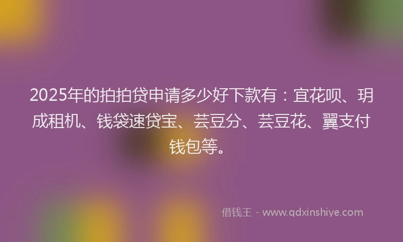 2025年的拍拍贷申请多少好下款有：宜花呗、玥成租机、钱袋速贷宝、芸豆分、芸豆花、翼支付钱包等。
